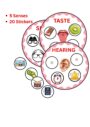 5 Senses